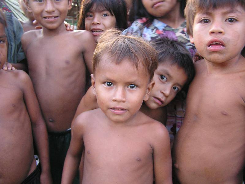 Peruvian Amazon Testimony 2015